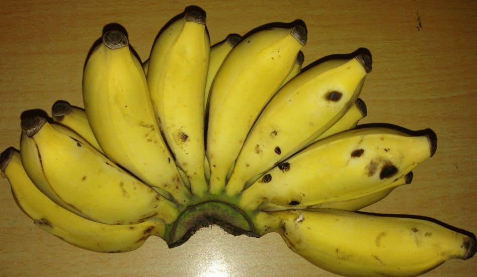 bananas give you potassium and magnesium