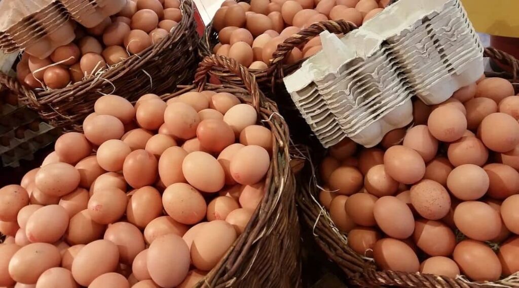 many egg baskets