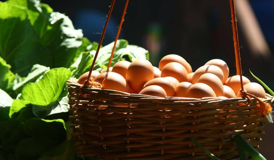 one basket of eggs